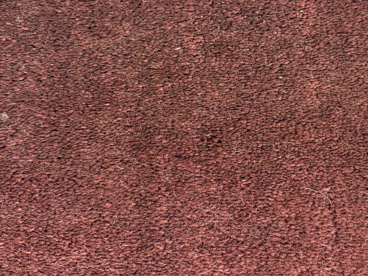موکت رویال - تصویر 3