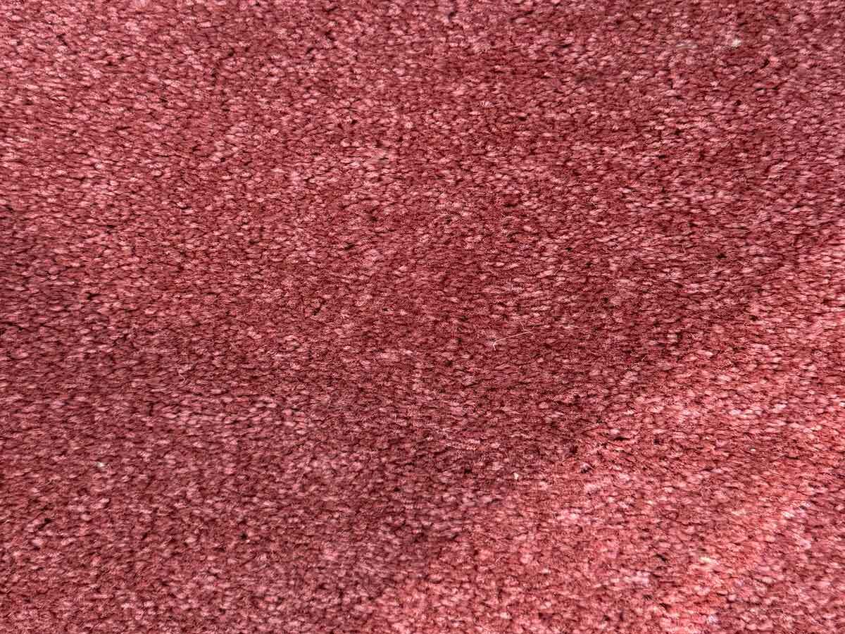 موکت کات ب - تصویر 22